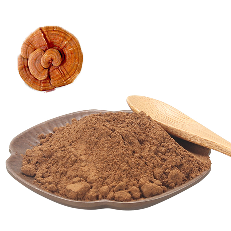 Get Ganoderma Lucidum Extract Powder High Potency - Boost Vitality Naturally